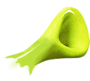 oreja derecha